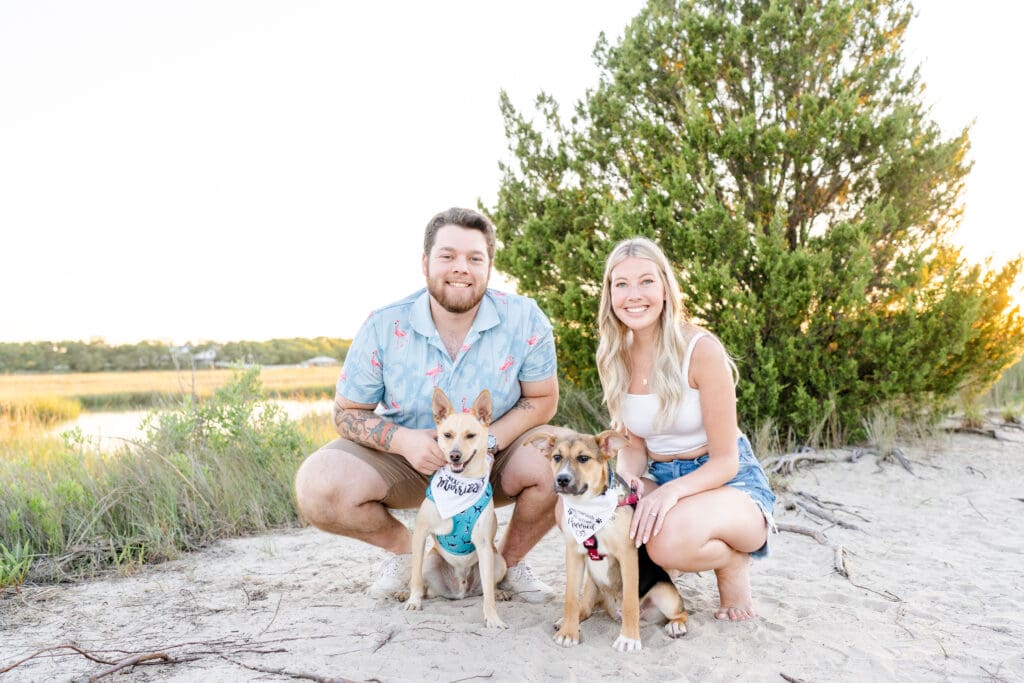 Golden hour engagement session with dogs in wedding collars