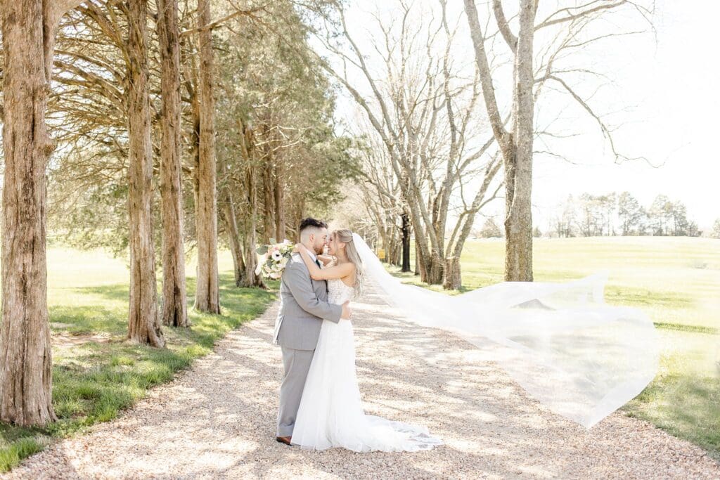 Bride and groom portraits on tree lined path