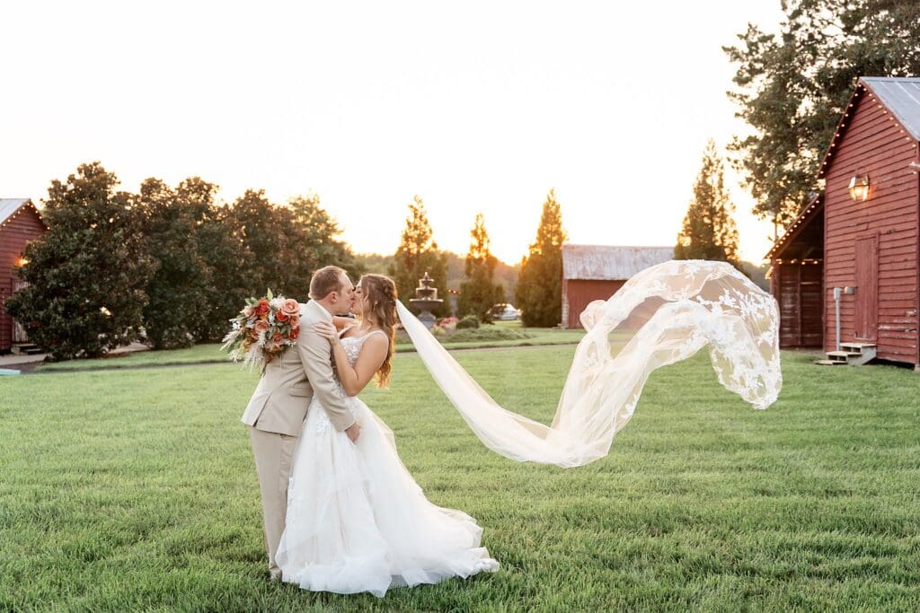 Perfect veil shot of bride and groom