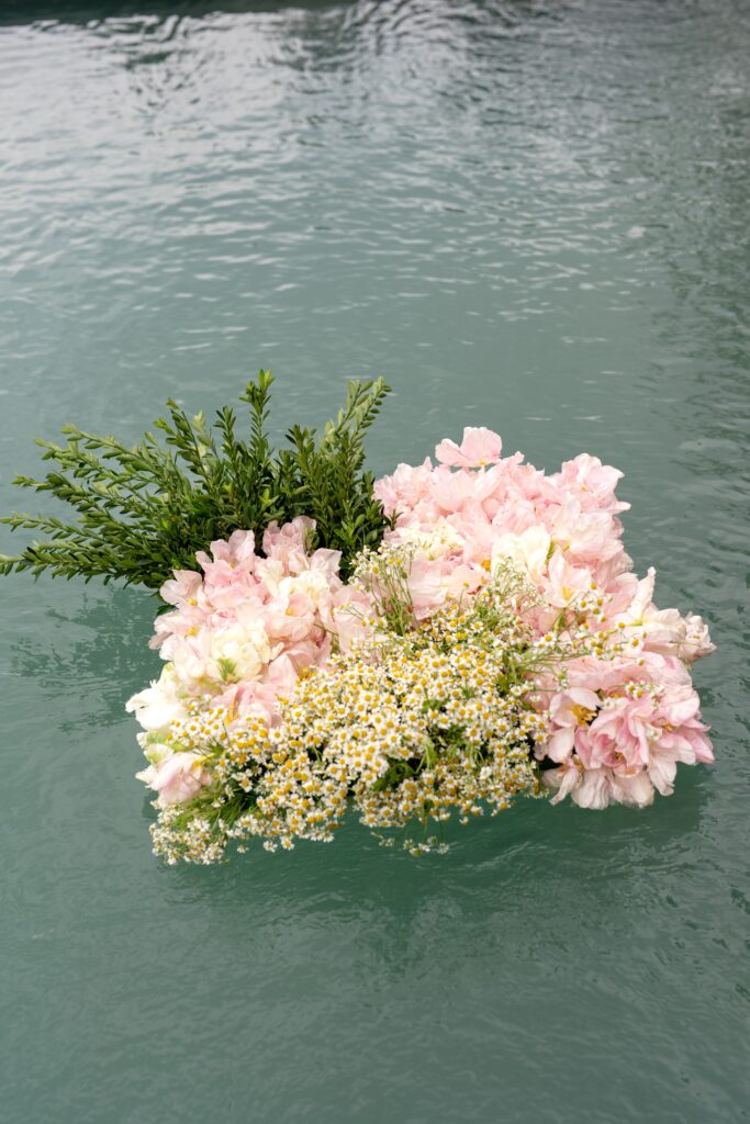 Pink flowers in water